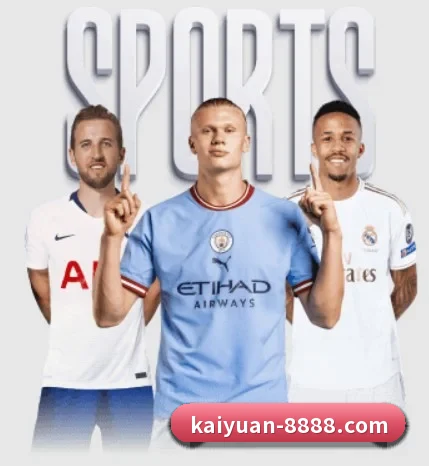 五大服务分区,信息按项目分类 | kaiyuan